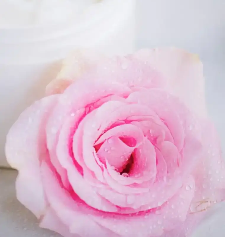 Holistic Health - Skincare Holistic Health - Skincare