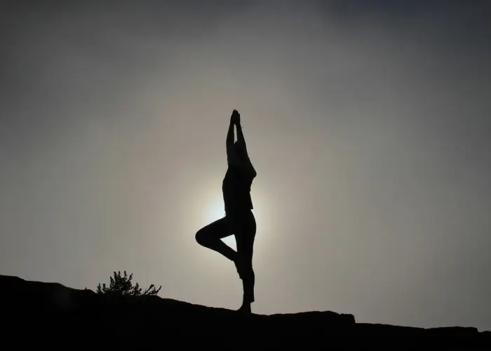 What is Yoga What is Yoga